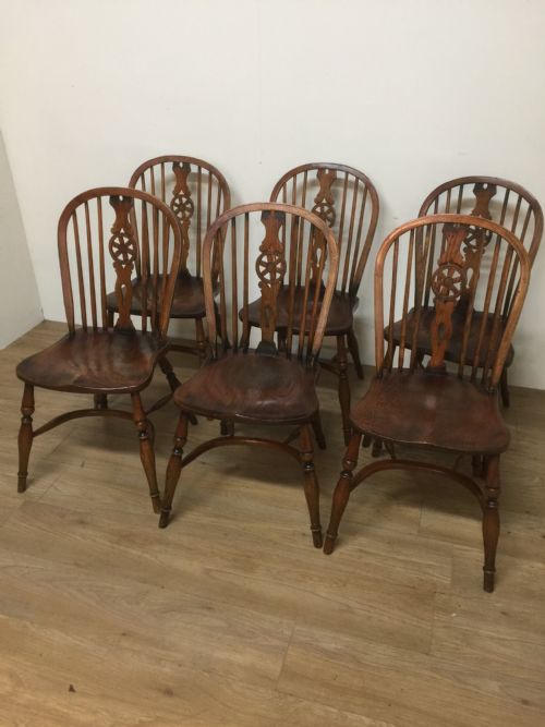 Six Elm Country Chairs with Crinoline Under Stretchers