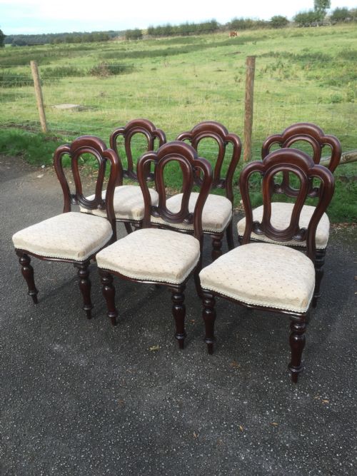 Six Nineteenth Century Solid Mahogany Dining Chairs Circa 1870