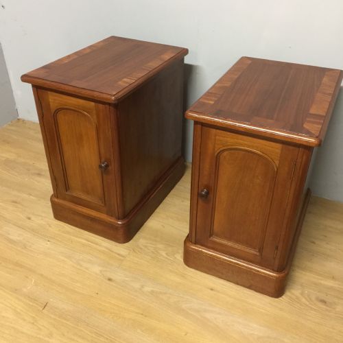 Pair of Nineteenth Century Mahogany Bedside Cabinets