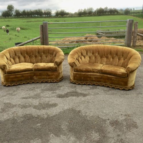 Pair of Country House Sofas in Gold Velvet with Feather Seat Cushions