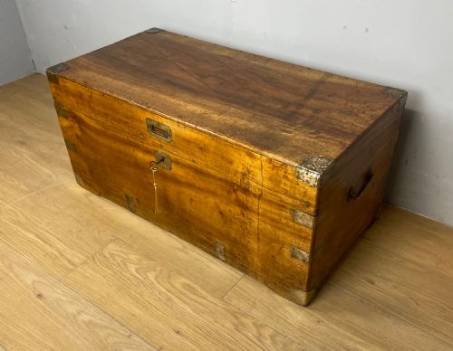 C19th Military Camphor Wood Chest (Brass Mounts)