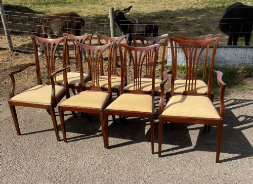 Late Victorian Set of 8 Mahogany Dining Chairs