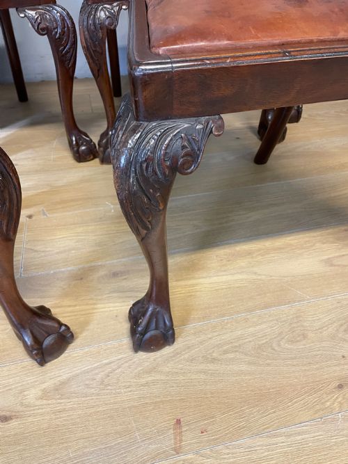 EDWARDIAN SET OF SIX MAHOGANY CHIPPENDALE STYLE DINING CHAIRS ON BALL AND CLAW FEET - ADDITIONAL PHOTO 7