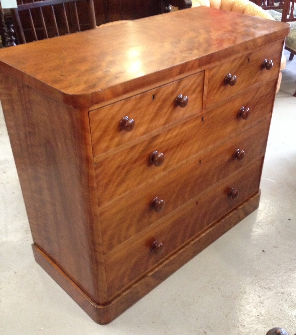 Victorian satin birch chest of drawers with original knob handles