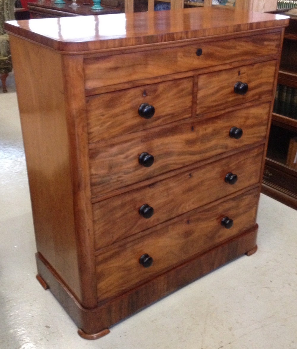 Victorian faded mahogany five height chest of drawers with ebonised knobs