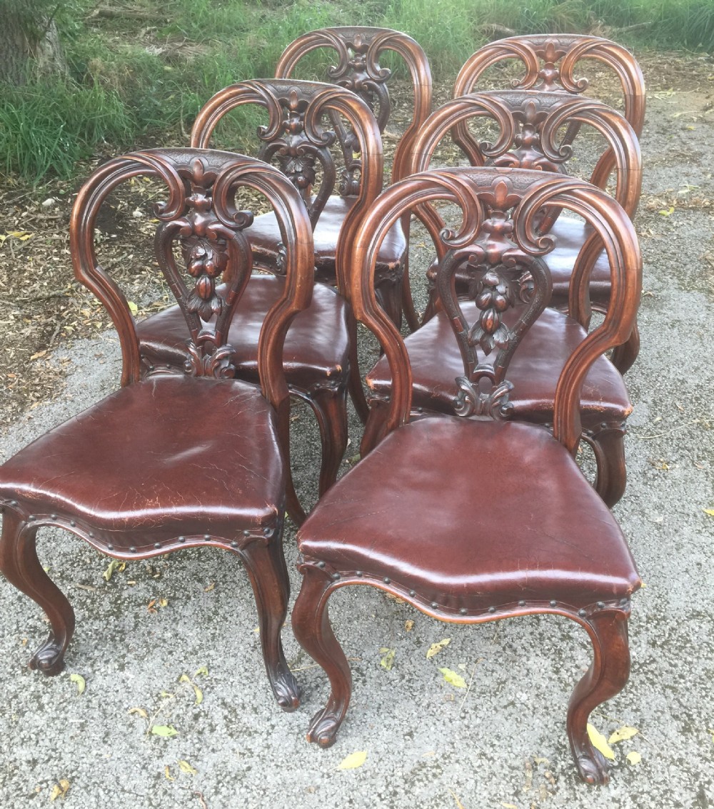 Six Victorian carved balloon back dining chairs 