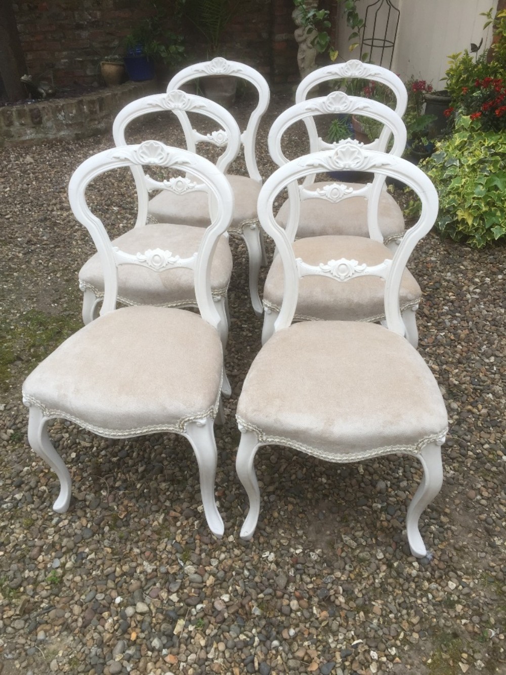 Six Victorian balloon backed chairs on cabriole legs 