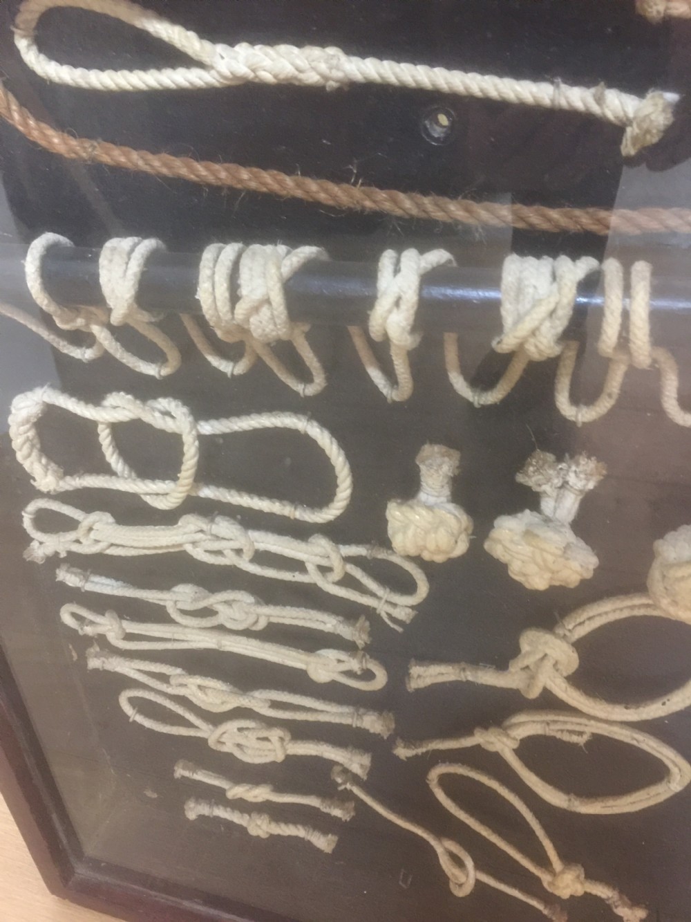 Large Display case of nautical knots  View VII
