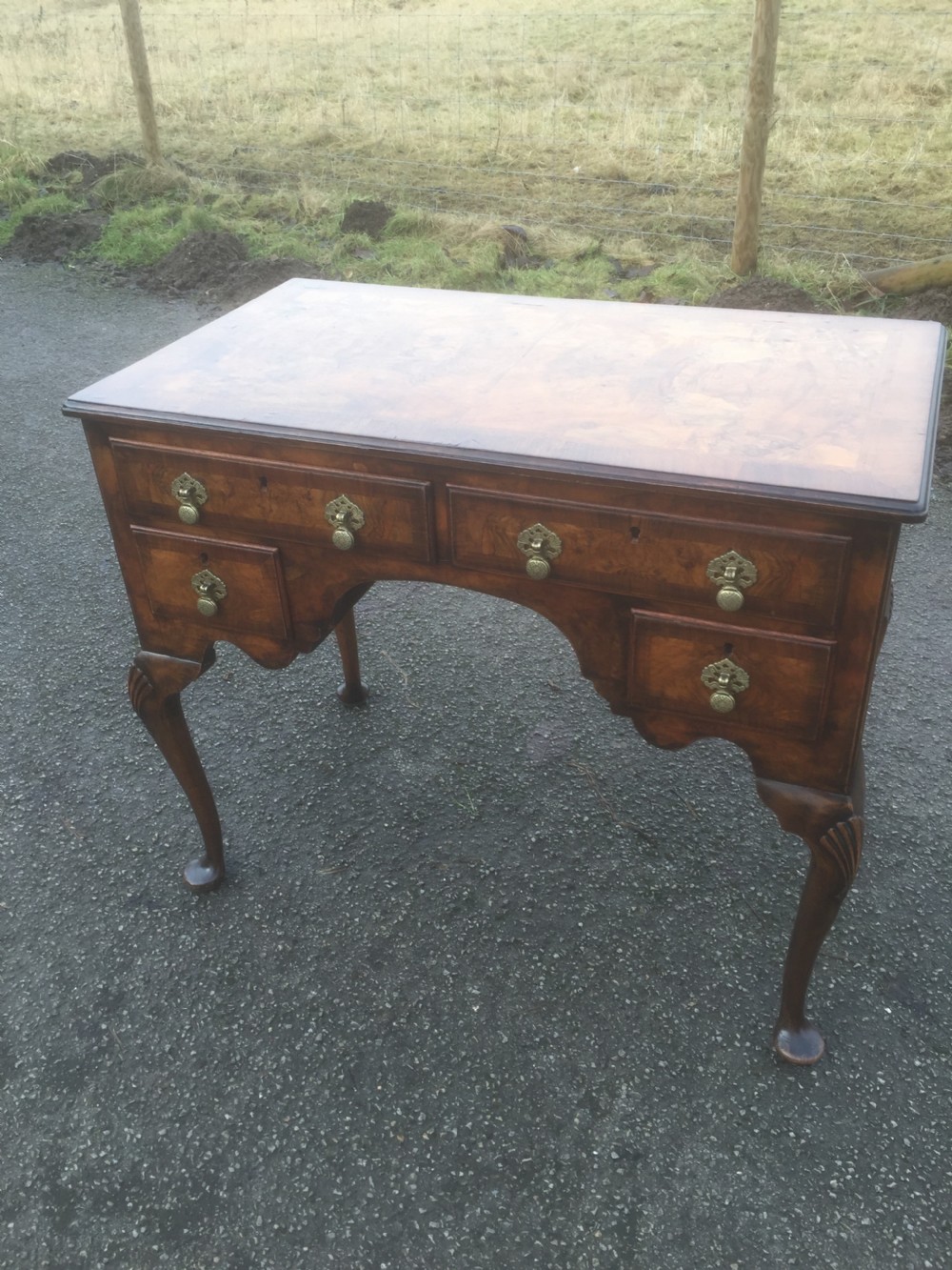 Queen Anne style burr walnut writing desk 