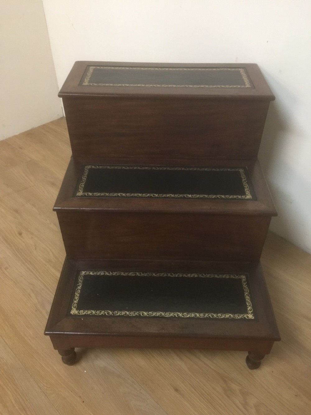 Nineteenth century mahogany library steps  View IV