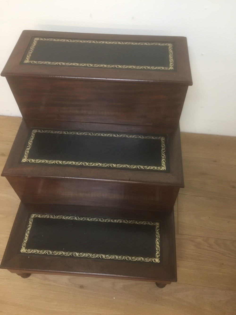 Nineteenth century mahogany library steps  View X