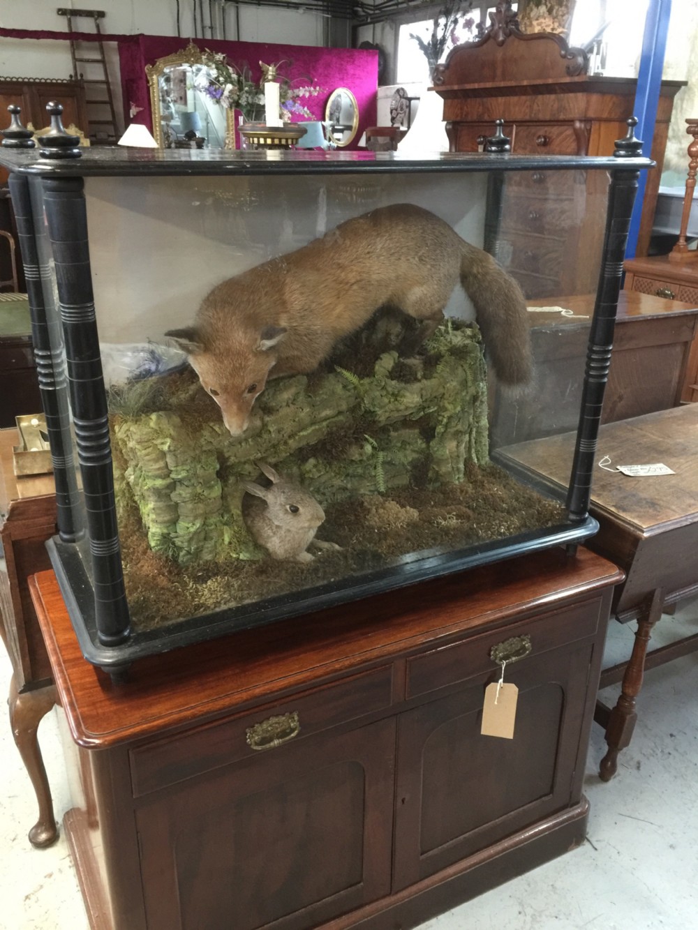 Nineteenth century cased taxidermy