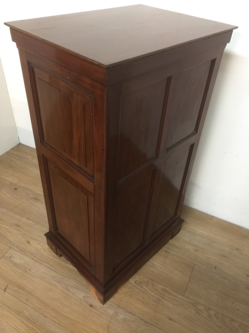 Nineteenth century museum folio cabinet View VIII