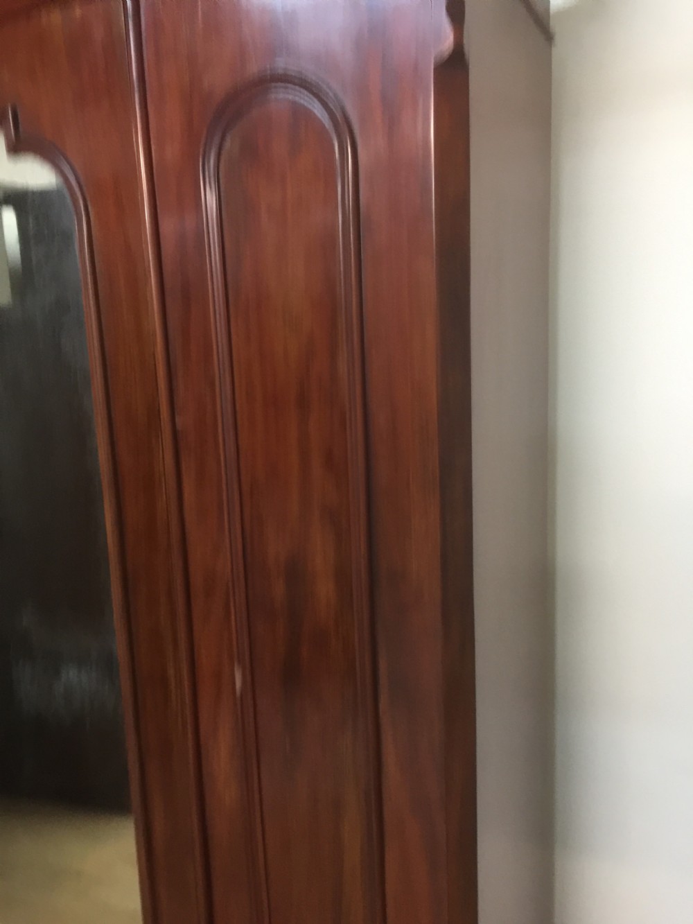 Nineteenth century mahogany wardrobe View II