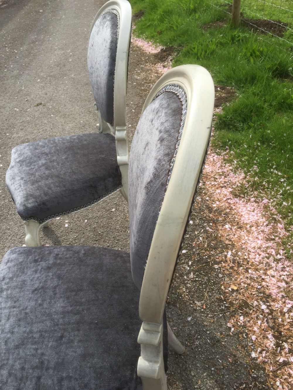Nineteenth century pair of French salon chairs.  View II