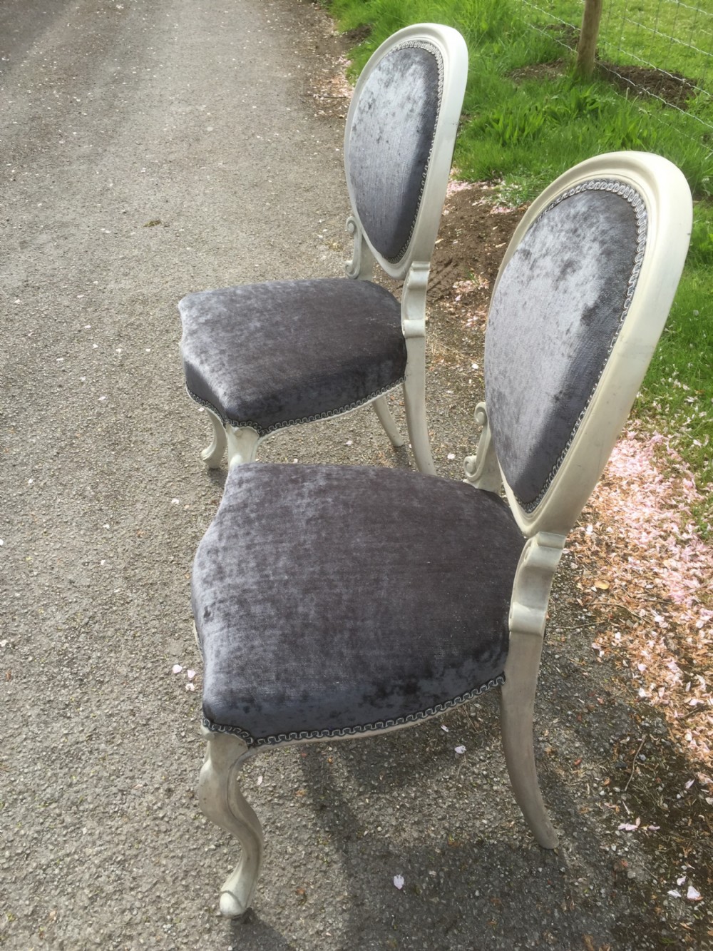 Nineteenth century pair of French salon chairs.  View III