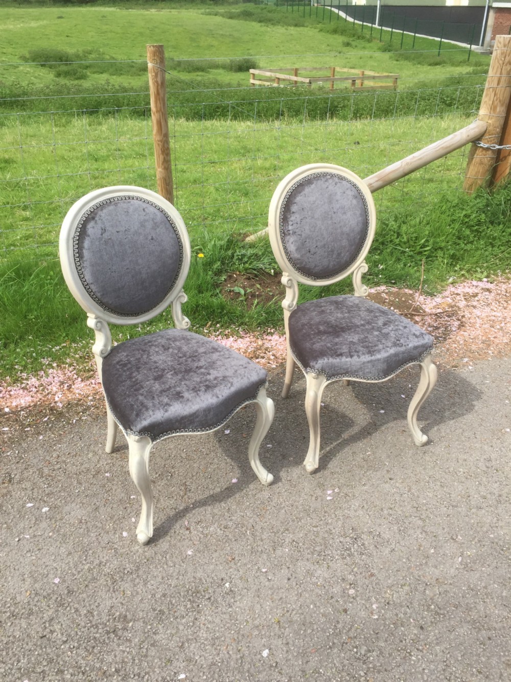 Nineteenth century pair of French salon chairs.  View IV