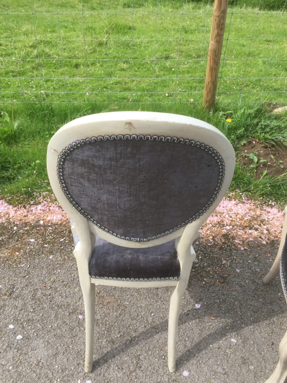 Nineteenth century pair of French salon chairs.  View V