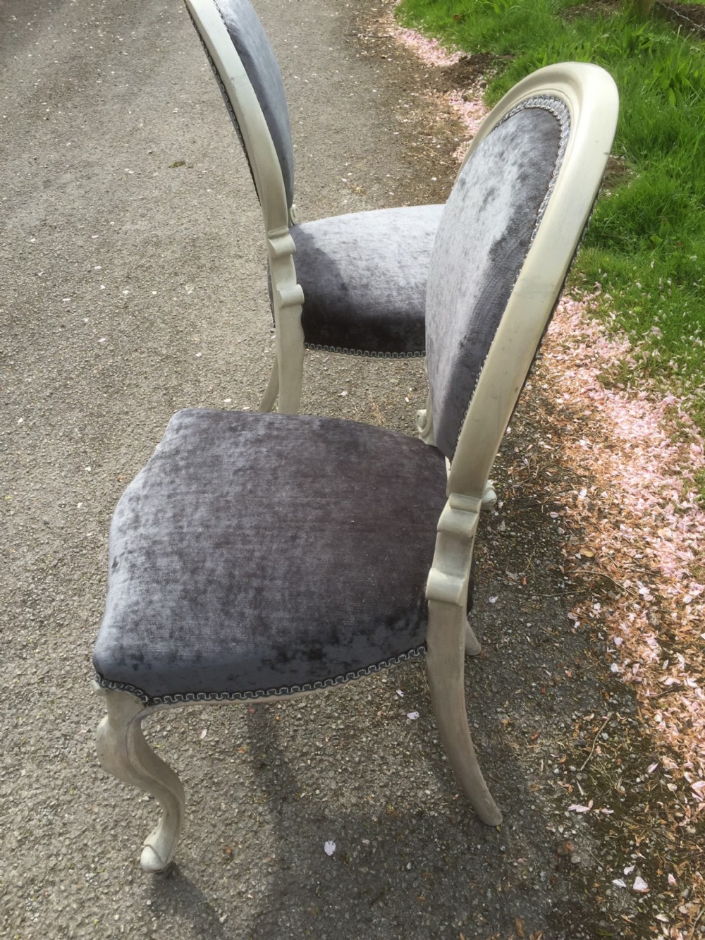 Nineteenth century pair of French salon chairs.  View VIII