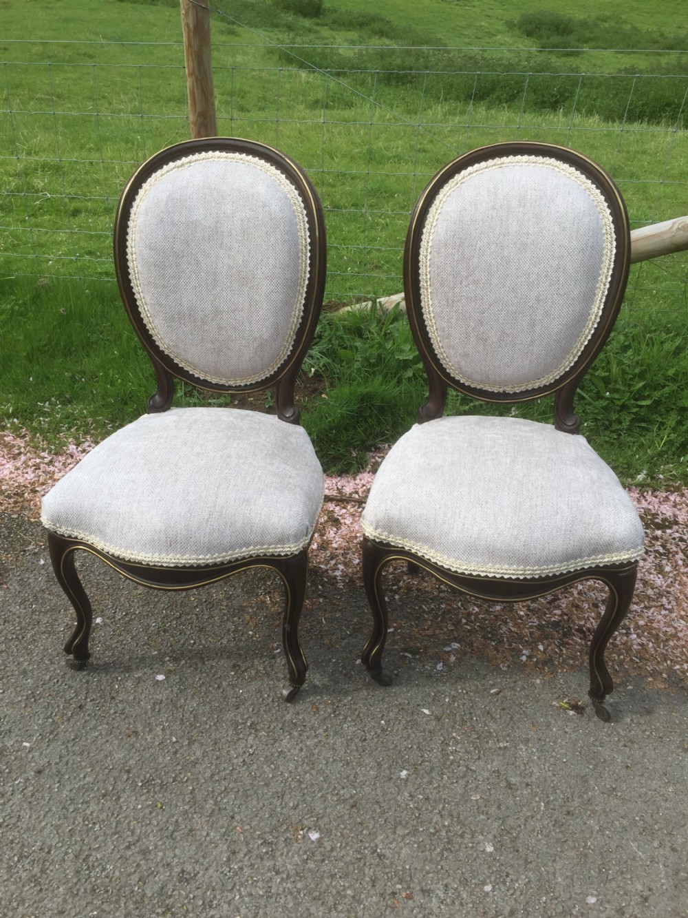 Pair of nineteenth century brass bound rosewood salon chairs 