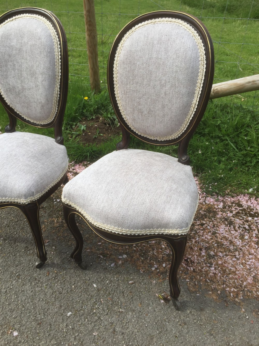 Pair of nineteenth century brass bound rosewood salon chairs  View II