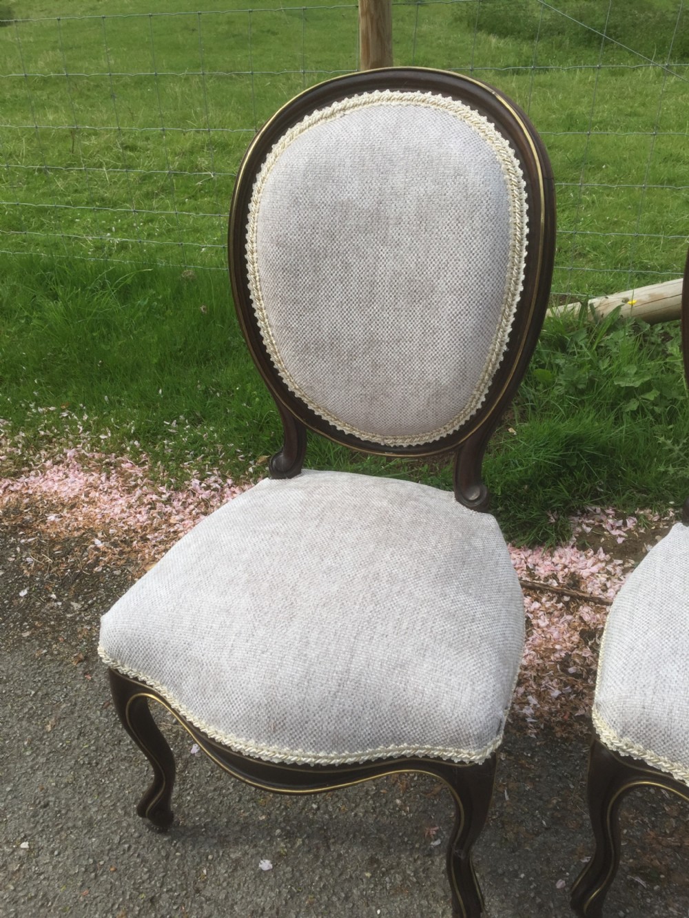 Pair of nineteenth century brass bound rosewood salon chairs  View IV
