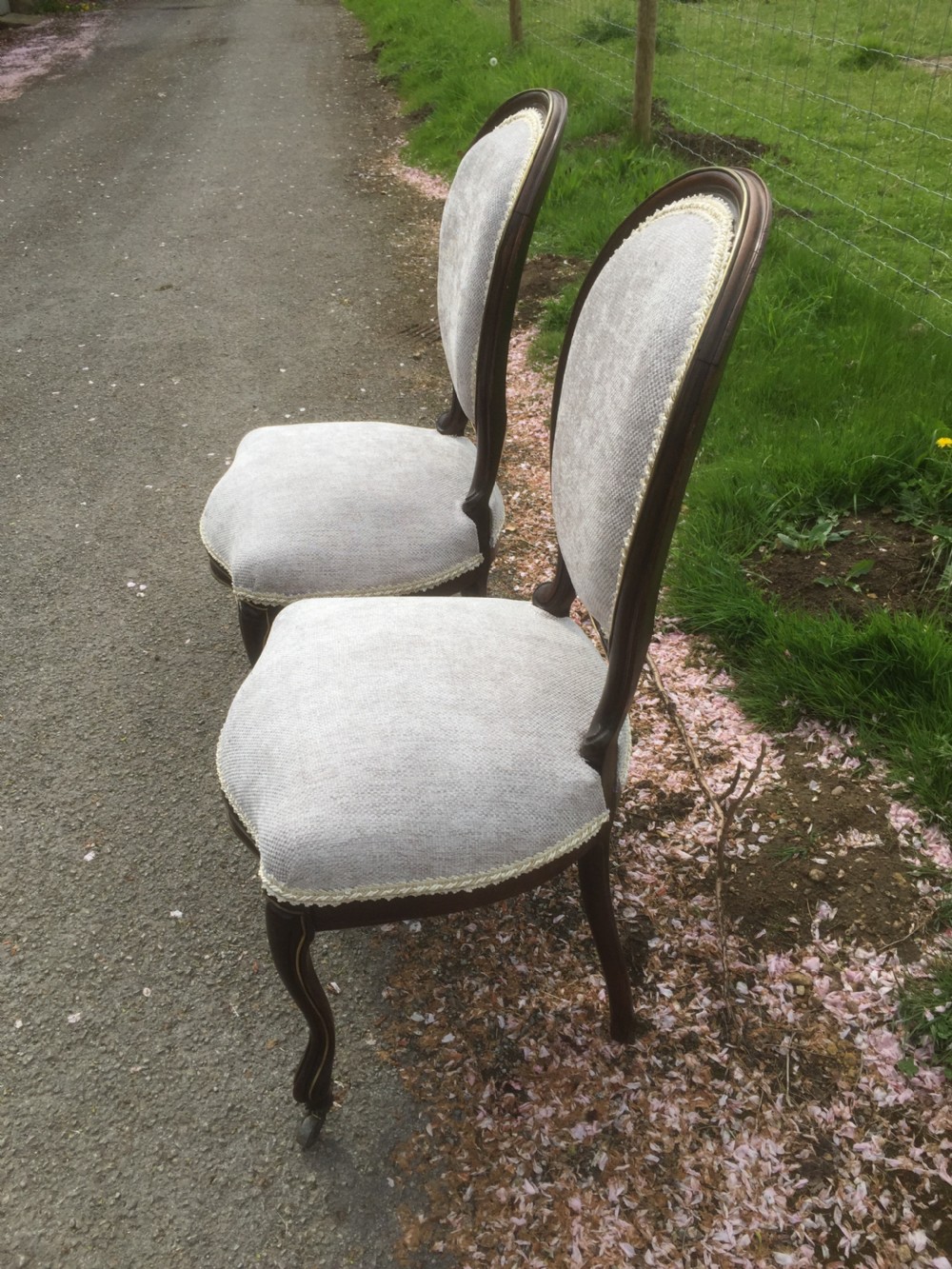 Pair of nineteenth century brass bound rosewood salon chairs  View V