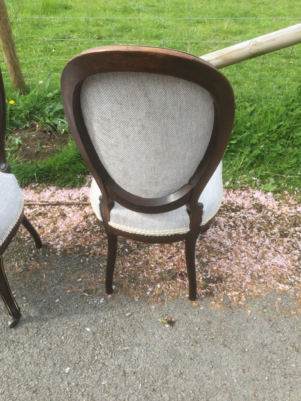 Pair of nineteenth century brass bound rosewood salon chairs  View VI