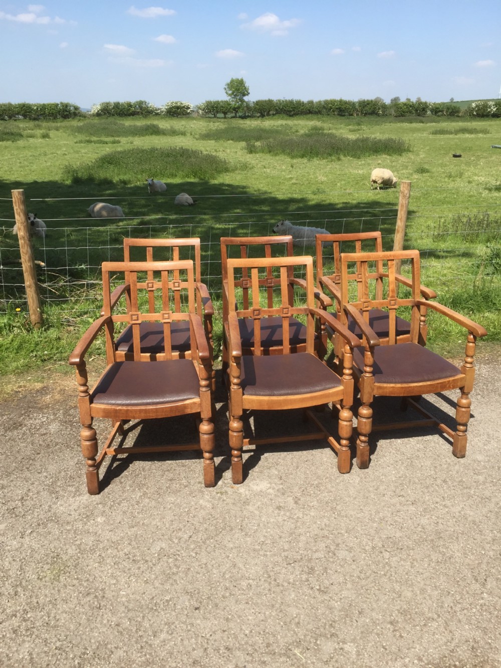 Six golden oak Arts and Crafts armchairs  View III
