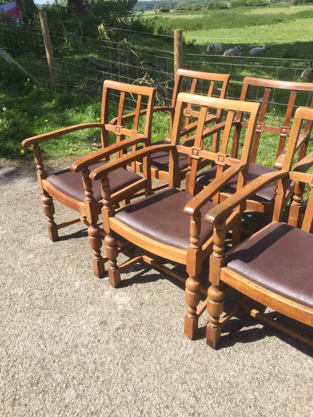 Six golden oak Arts and Crafts armchairs  View IV