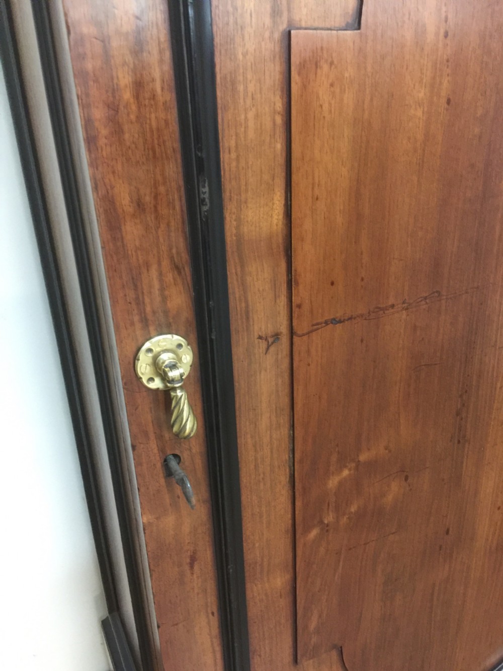 Nineteenth century walnut library cupboard View III