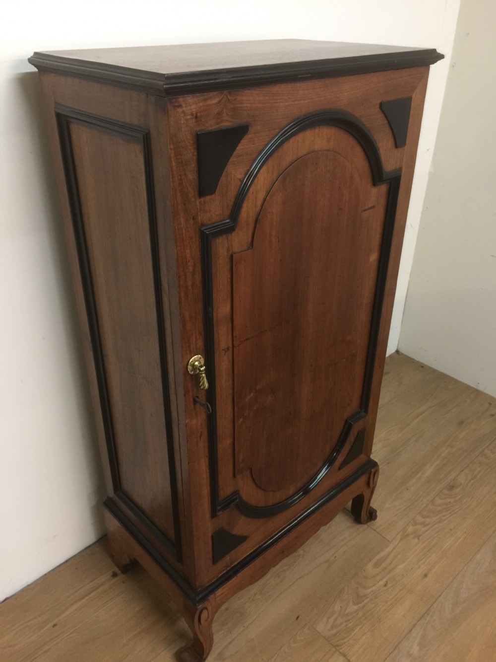 Nineteenth century walnut library cupboard View VI