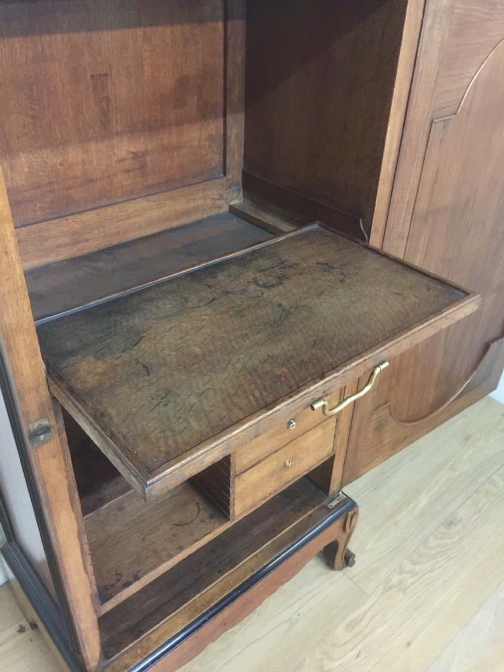 Nineteenth century walnut library cupboard View VII
