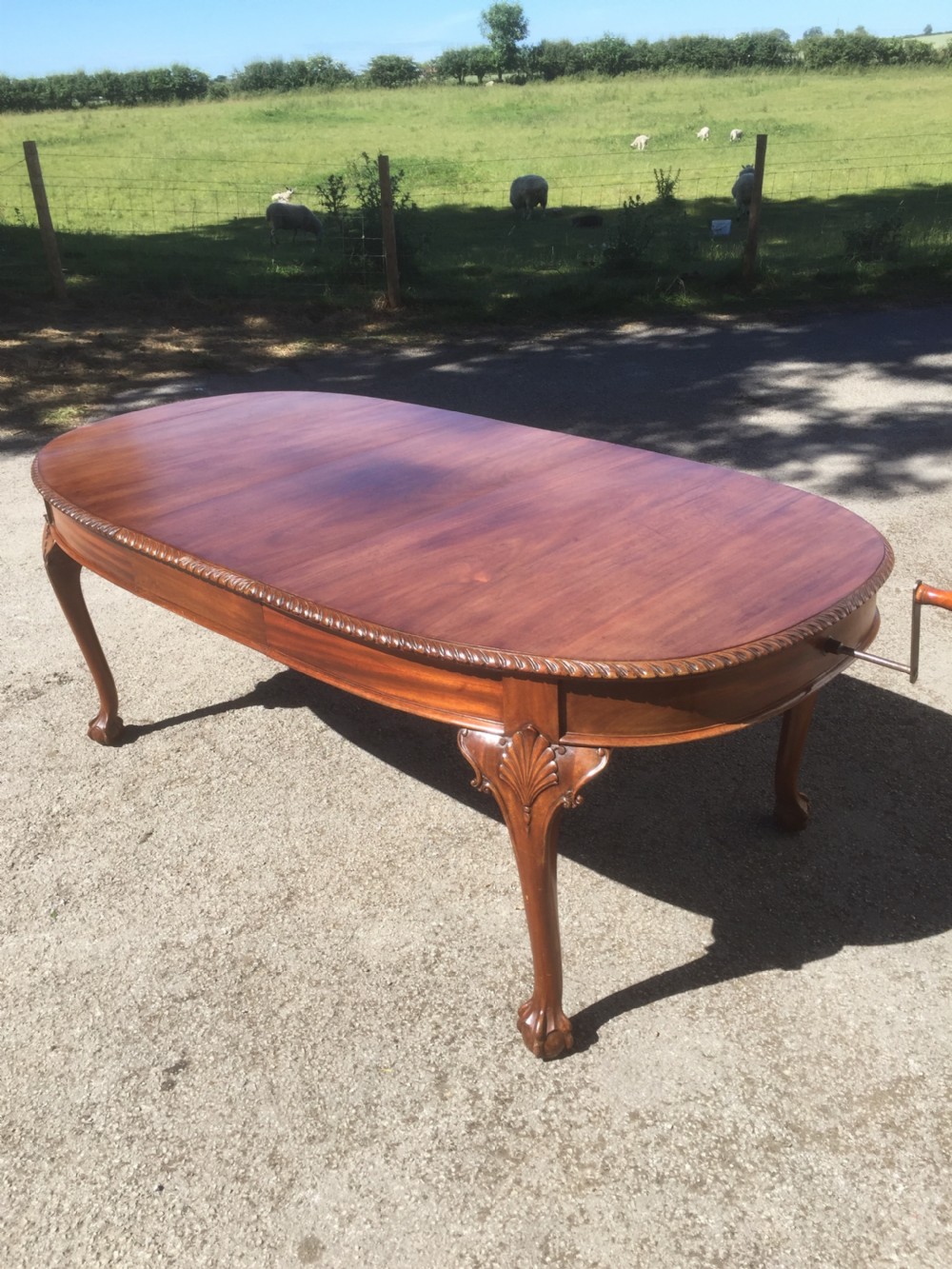 Edwardian eight seater walnut wind out dining table on cabriole legs 