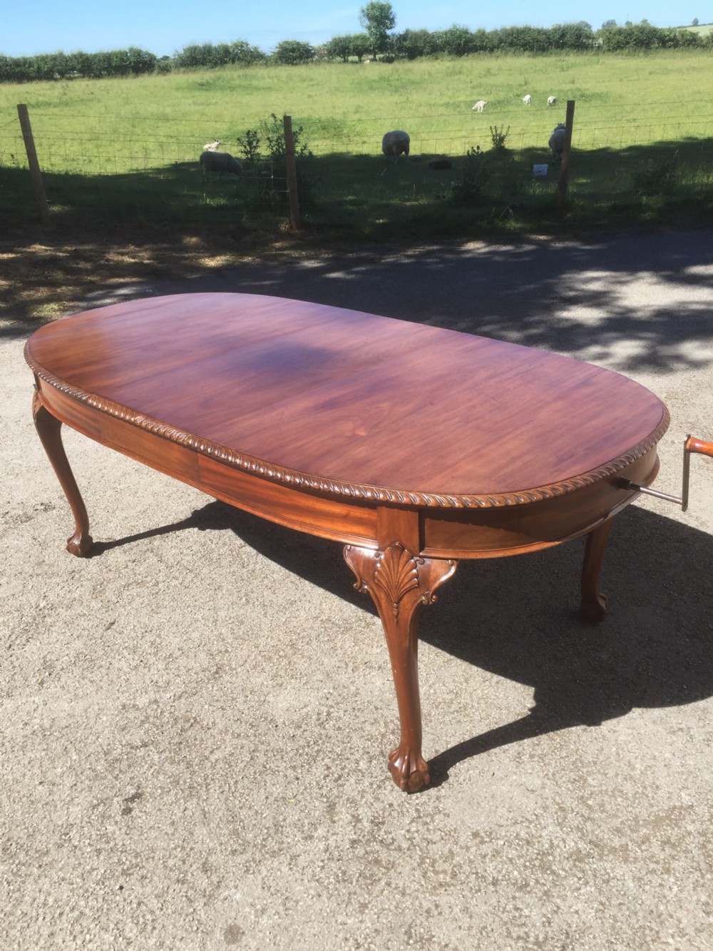 Edwardian eight seater walnut wind out dining table on cabriole legs  View III