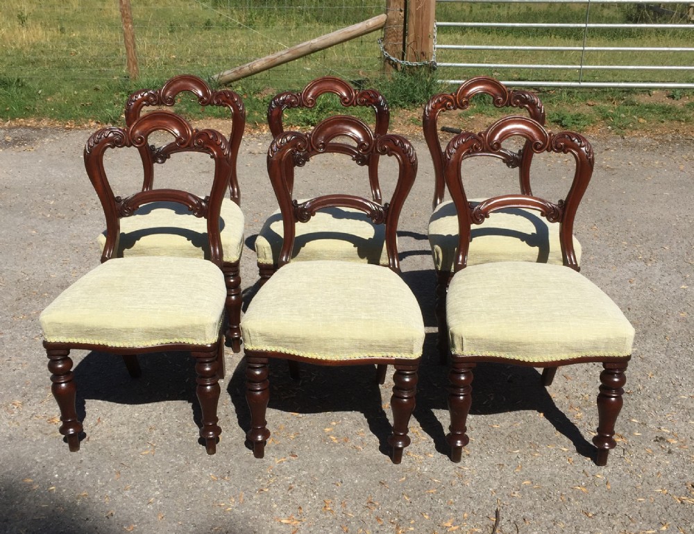 Six nineteenth century carved mahogany balloon backed dining chairs 
