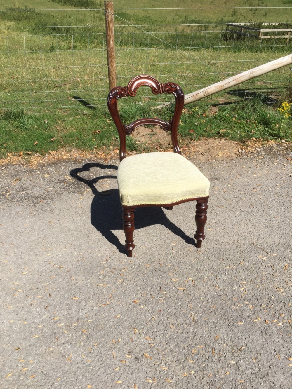 Six nineteenth century carved mahogany balloon backed dining chairs  View II