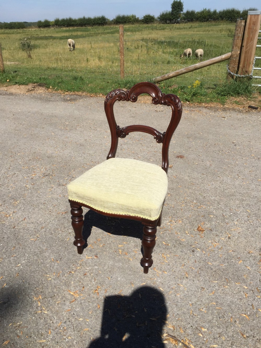 Six nineteenth century carved mahogany balloon backed dining chairs  View IV
