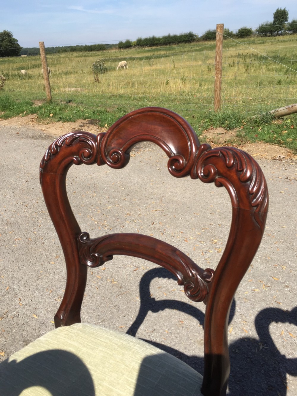 Six nineteenth century carved mahogany balloon backed dining chairs  View VII