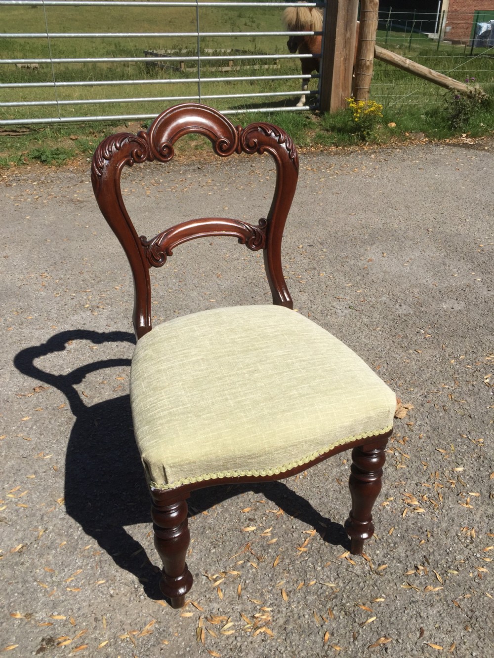 Six nineteenth century carved mahogany balloon backed dining chairs  View VIII
