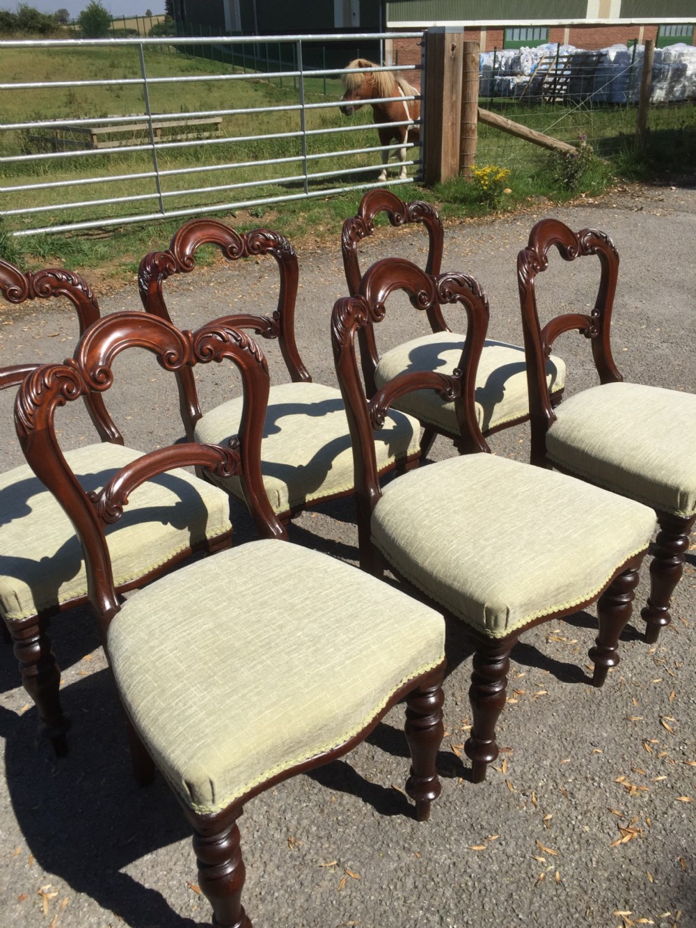 Six nineteenth century carved mahogany balloon backed dining chairs  View XI