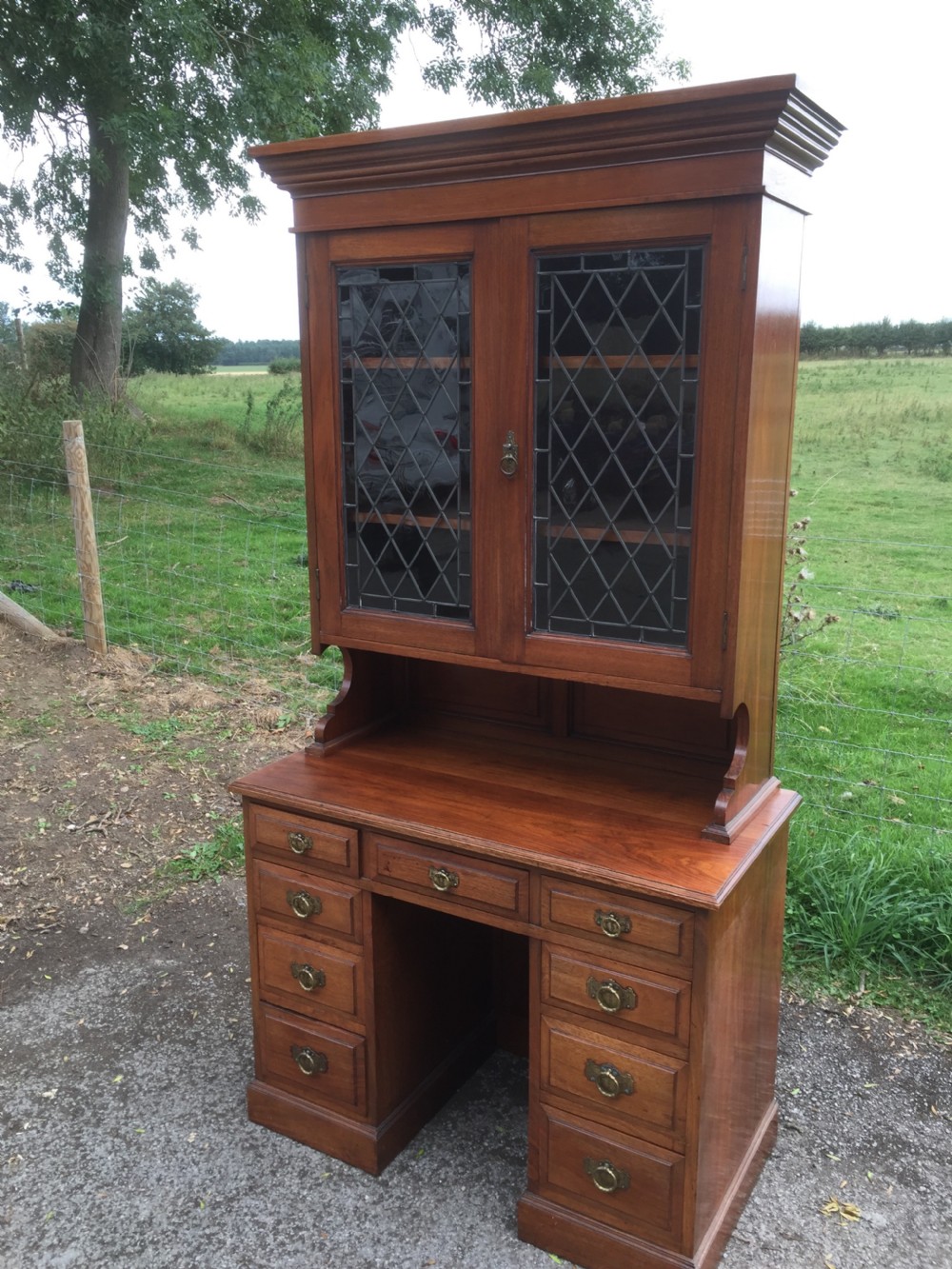 Late nineteenth century solid walnut bookcase  View XVI