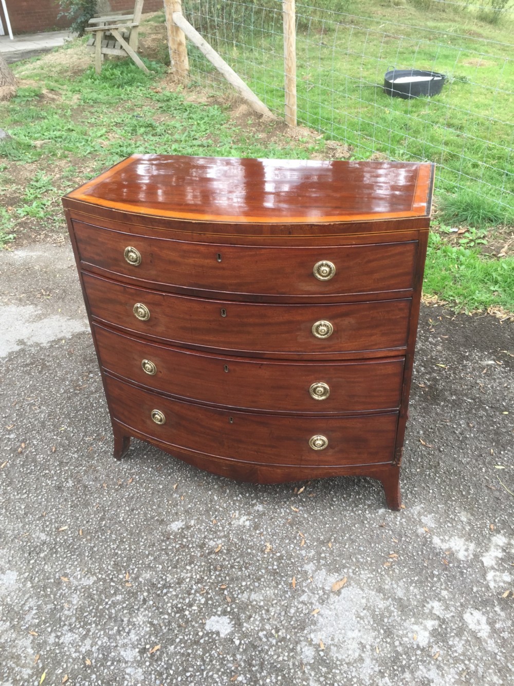 Georgian Mahogany bow front chest of drawers 