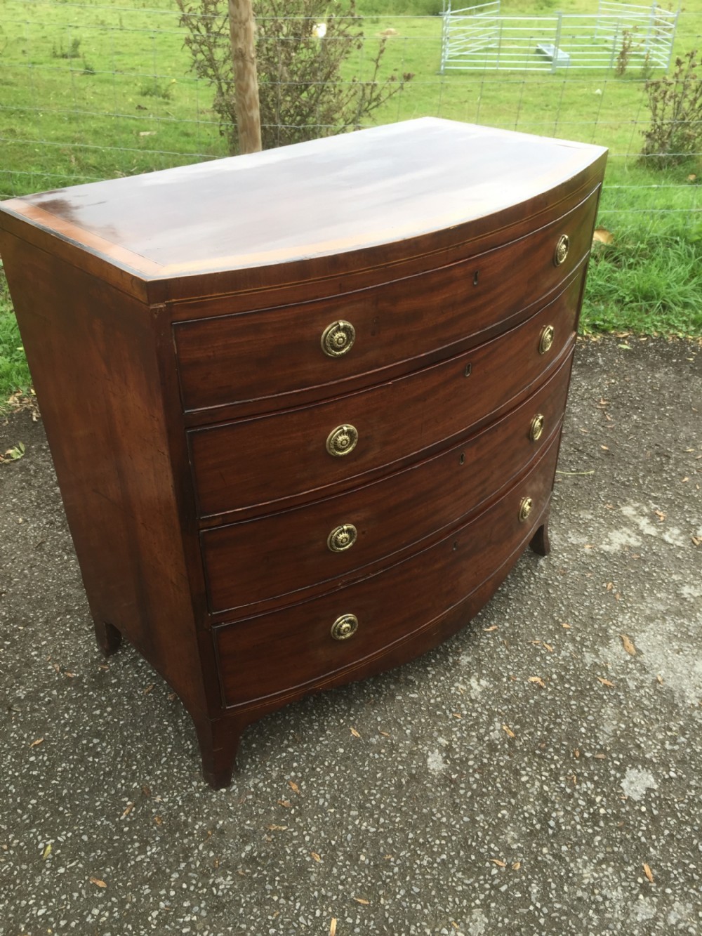 Georgian Mahogany bow front chest of drawers  View XIII