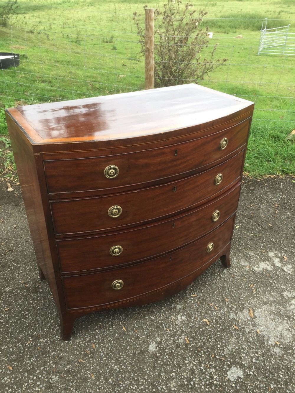 Georgian Mahogany bow front chest of drawers  View XIV