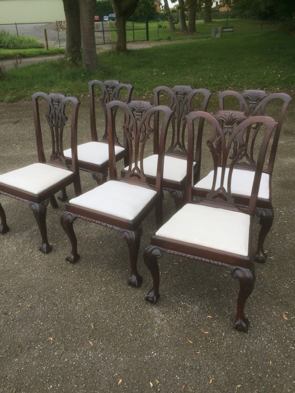 Set of six carved mahogany Chippendale style dining chairs  View IV