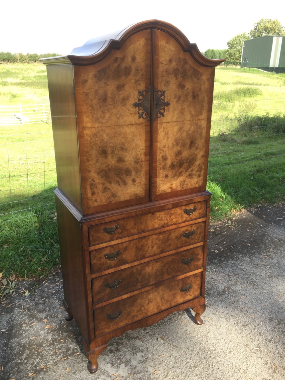 Burr walnut dome topped cupboard over drawers circa 1920 of small proportions 