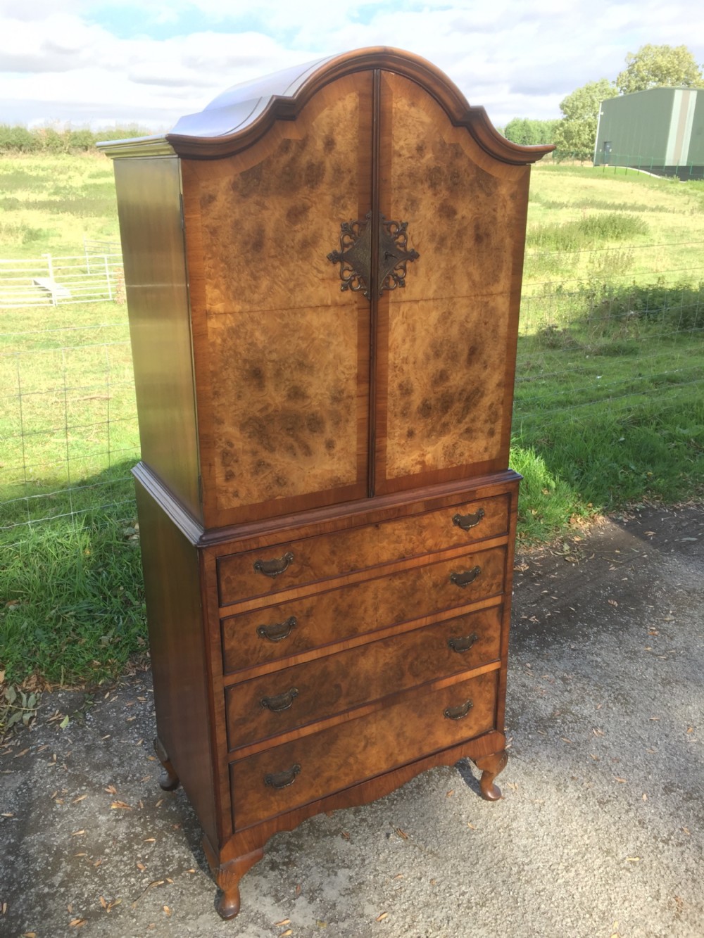 Burr walnut dome topped cupboard over drawers circa 1920 of small proportions  View II
