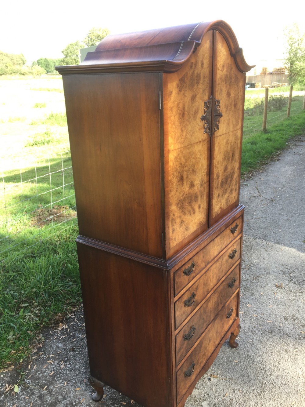 Burr walnut dome topped cupboard over drawers circa 1920 of small proportions  View III