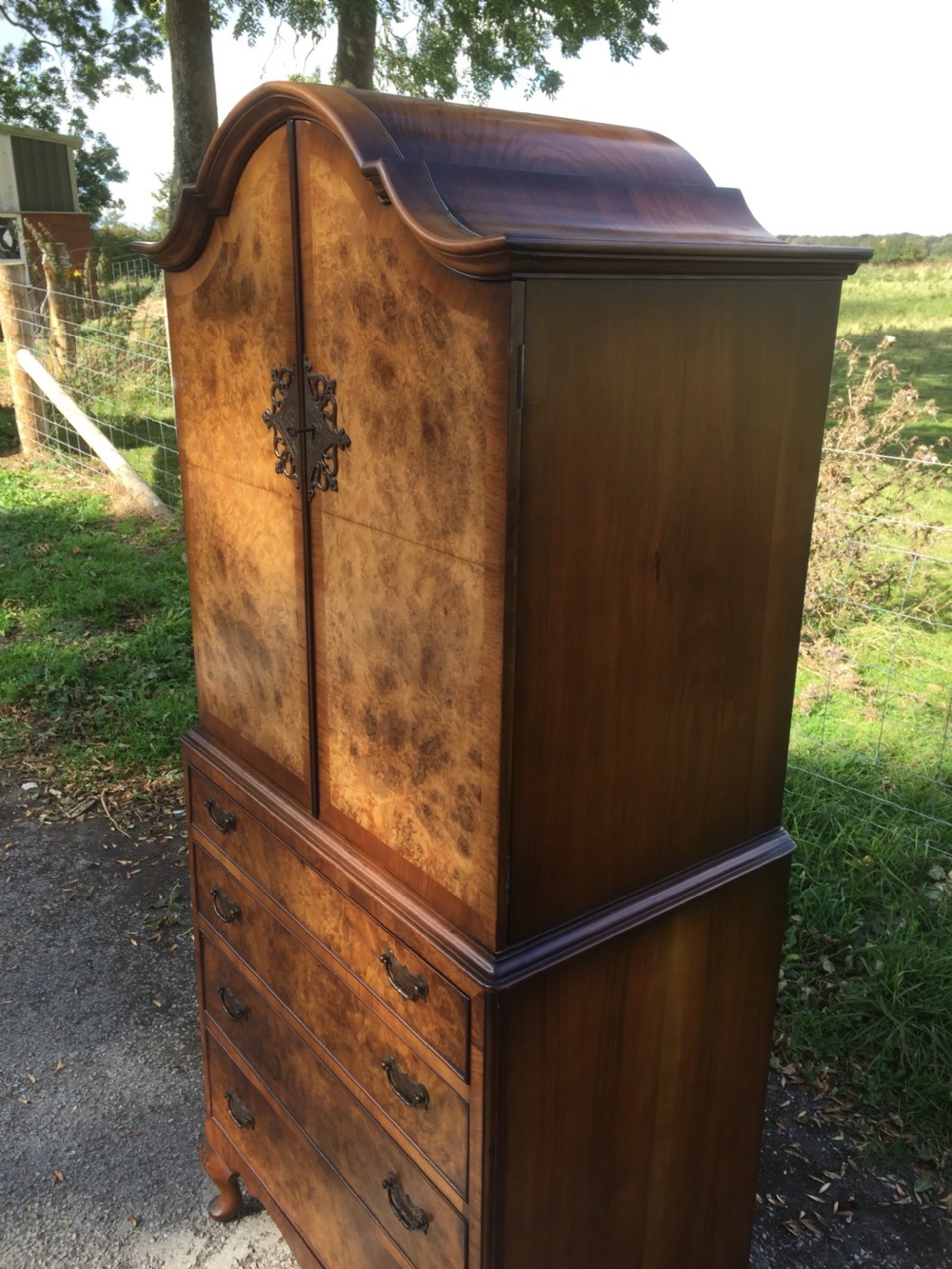 Burr walnut dome topped cupboard over drawers circa 1920 of small proportions  View IV